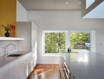 Deloia House by Salmela Architect
