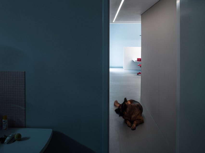 Dog House by Atelier About Architecture