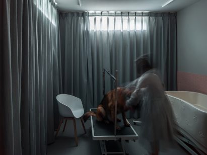 Dog House by Atelier About Architecture