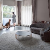 Latest Dezeen Weekly features a chainless bike and a house for a disabled dog