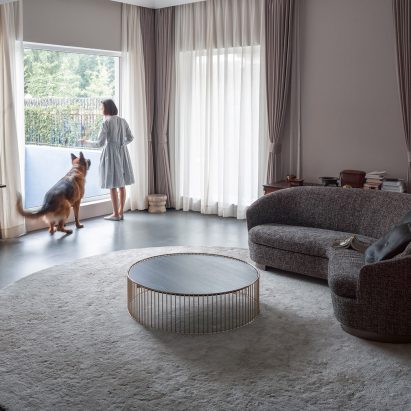 Latest Dezeen Weekly features a chainless bike and a house for a disabled dog
