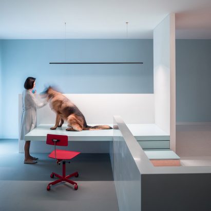 Beijing house by Atelier About Architecture features a storey for a disabled dog