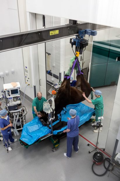 Equine Diagnostics Centre at Edinburgh University by Sheppard Robson