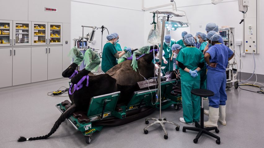 Equine Diagnostics Centre at Edinburgh University by Sheppard Robson