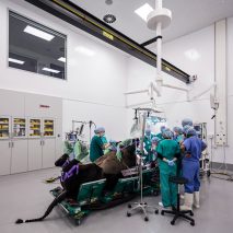 Equine Diagnostics Centre at Edinburgh University by Sheppard Robson