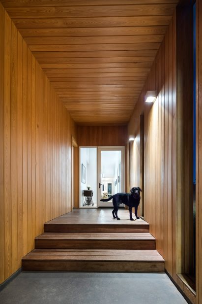 Hill Country House by Miro Rivera Architects