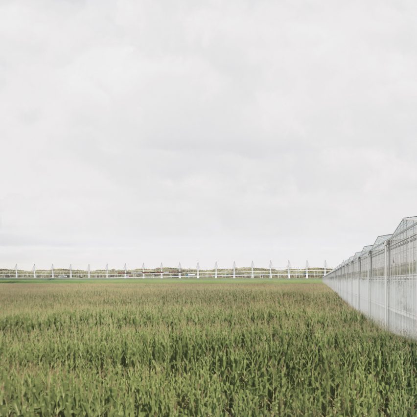 Royal College of Art graduates: Metropolitan Green Belt by Joseph Mercer
