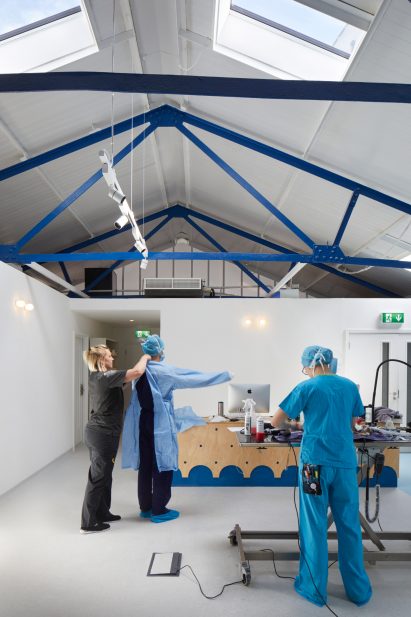 London Animal Hospital by Alma-nac