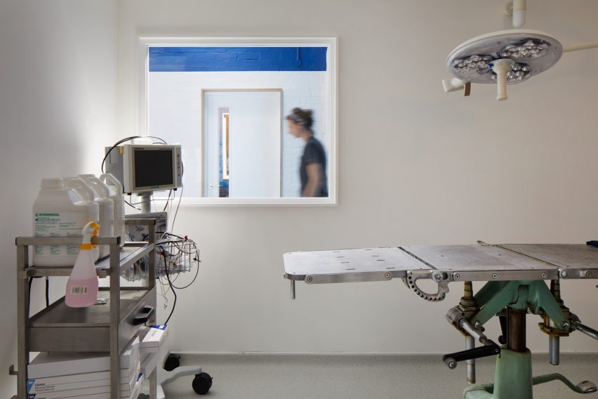 London Animal Hospital by Alma-nac