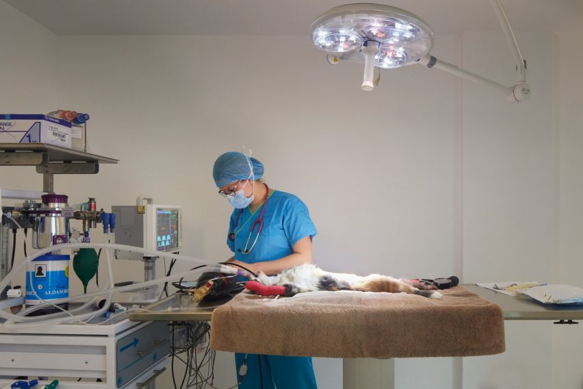 London Animal Hospital by Alma-nac