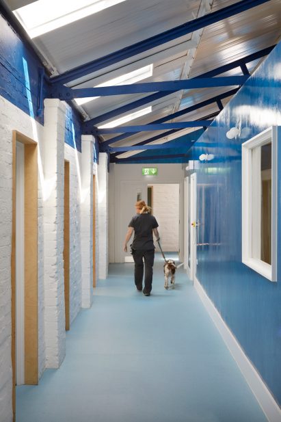 London Animal Hospital by Alma-nac
