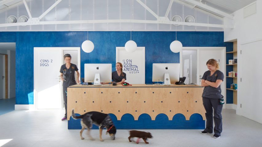 London animal hospital respects the age-old rivalry between cats and dogs