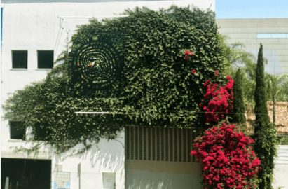 Mysterious Aphex Twin logos appear in destinations across the world
