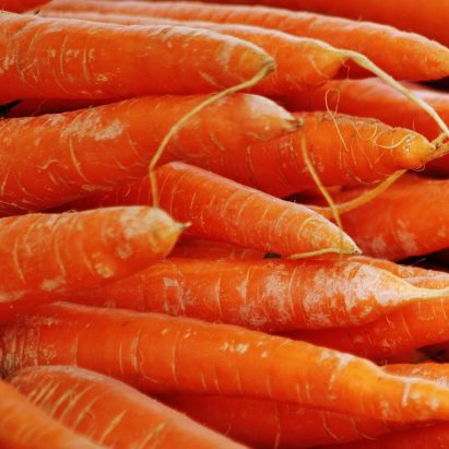 Carrot concrete