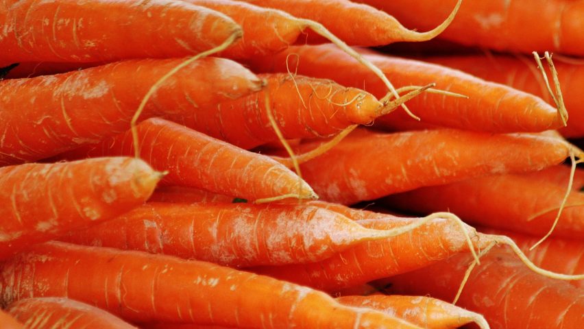 Carrot concrete
