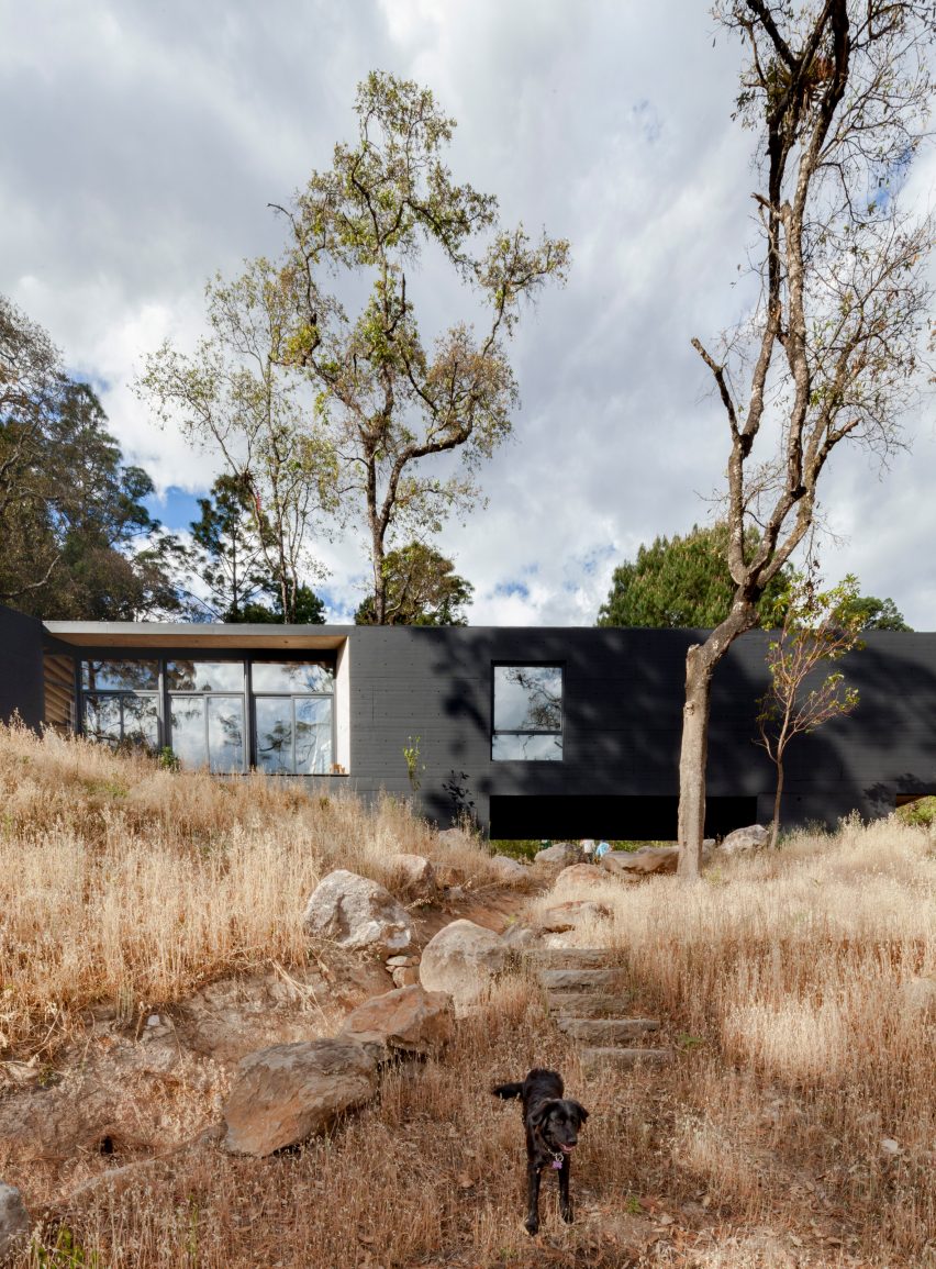 Casa de la Roca by Cadaval & Solà-Morales