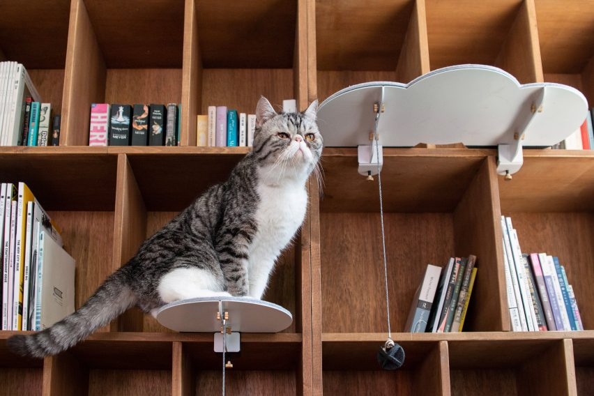 Catssup by Studio Ryte