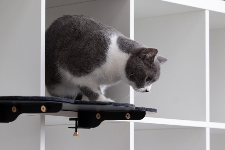 Catssup by Studio Ryte