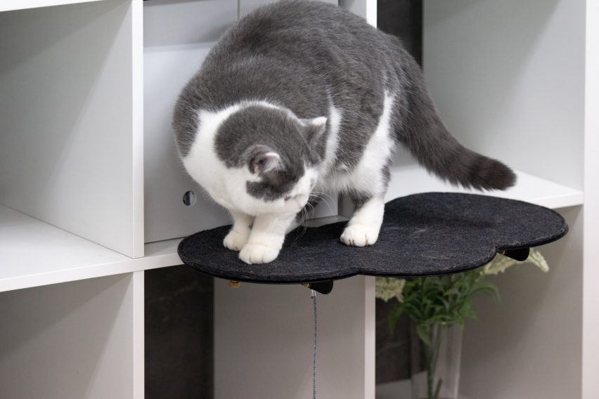 Catssup by Studio Ryte