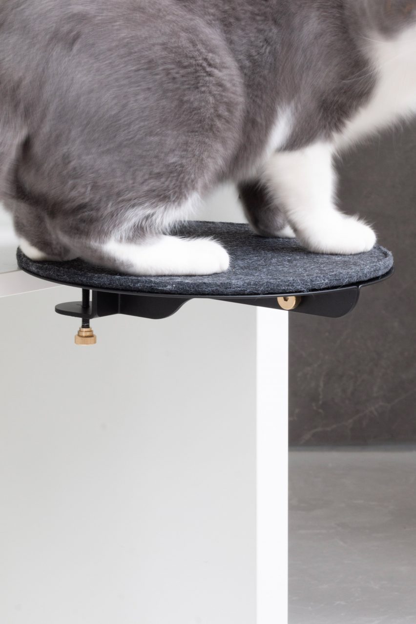 Catssup by Studio Ryte
