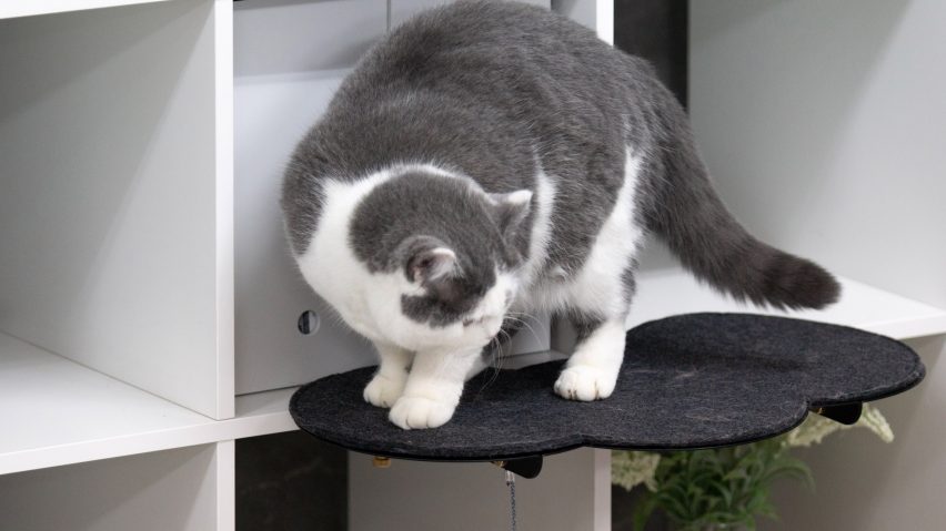 Catssup by Studio Ryte