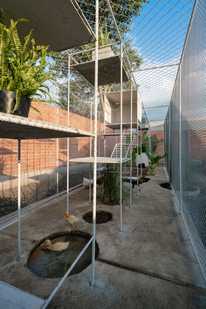 Chicken House by Tropical Space