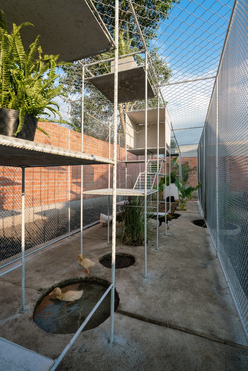 Chicken House by Tropical Space