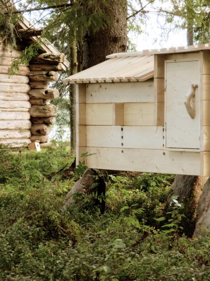 Kana Talo chicken house by Chan Brisco