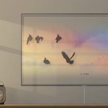 Bird Clock by Jianshi Wu and Yitan Sun