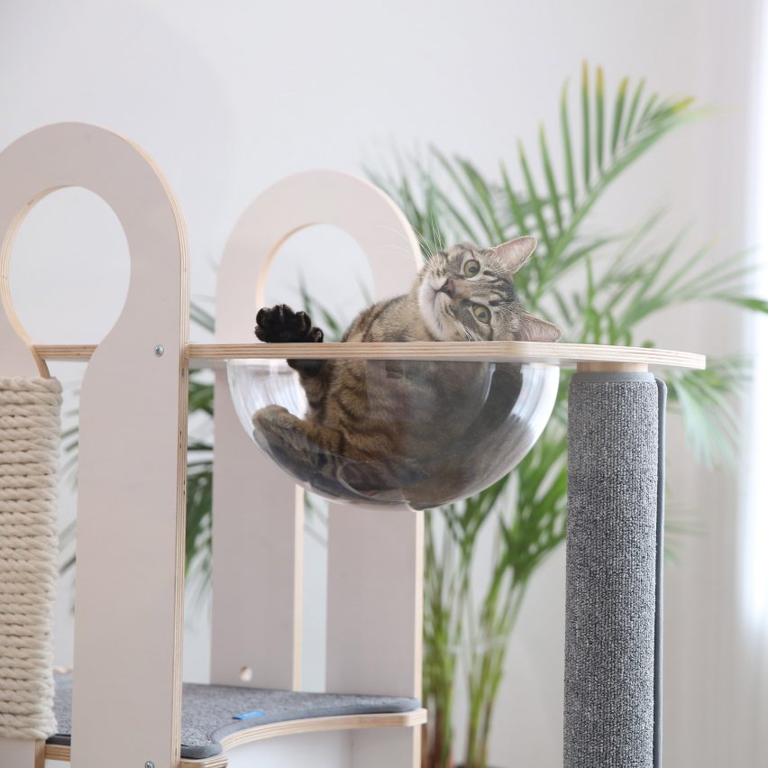 Milo and Torre by Tuft + Paw