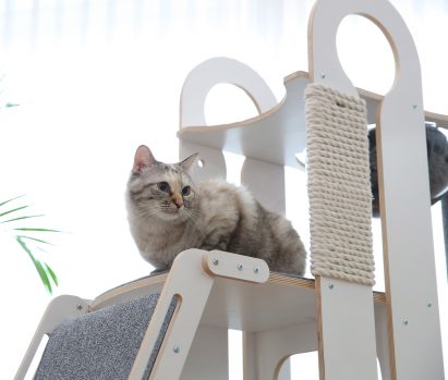 Milo and Torre by Tuft + Paw