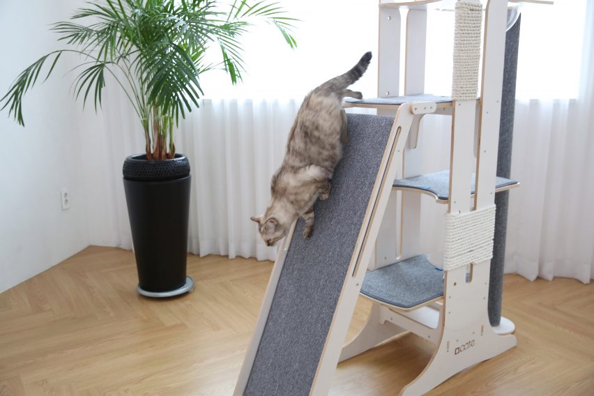 Milo and Torre by Tuft + Paw