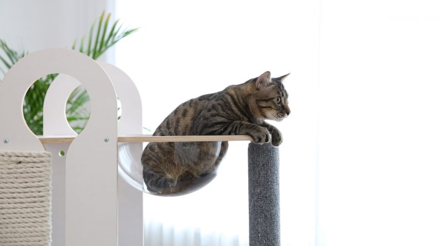 Milo and Torre by Tuft + Paw