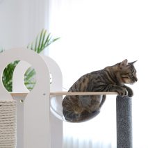 Milo and Torre by Tuft + Paw