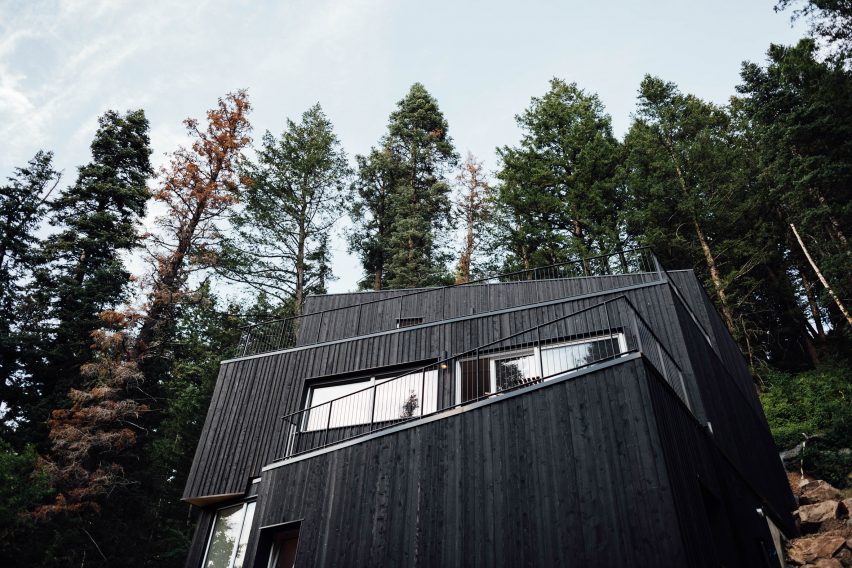 TreeHaus by Park City Design+Build