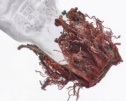 Copper and glass objects imagine future where water is scarce