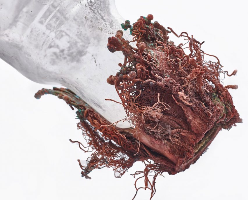 Copper and glass objects imagine future where water is scarce