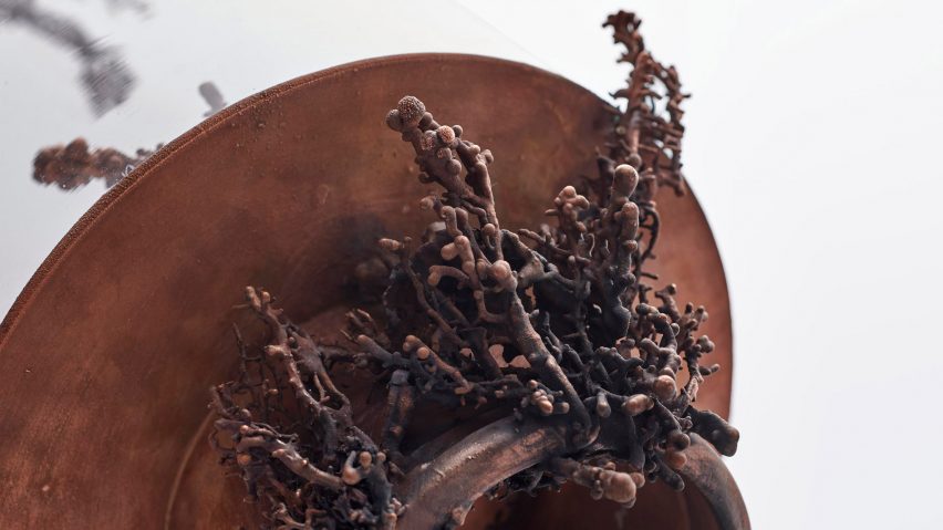 Copper and glass objects imagine future where water is scarce