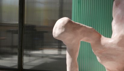 A Basic Instinct by Anna Aagaard Jensen