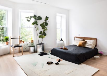 Coil + Drift and Cold Picnic style renovated Prospects Heights Townhouse