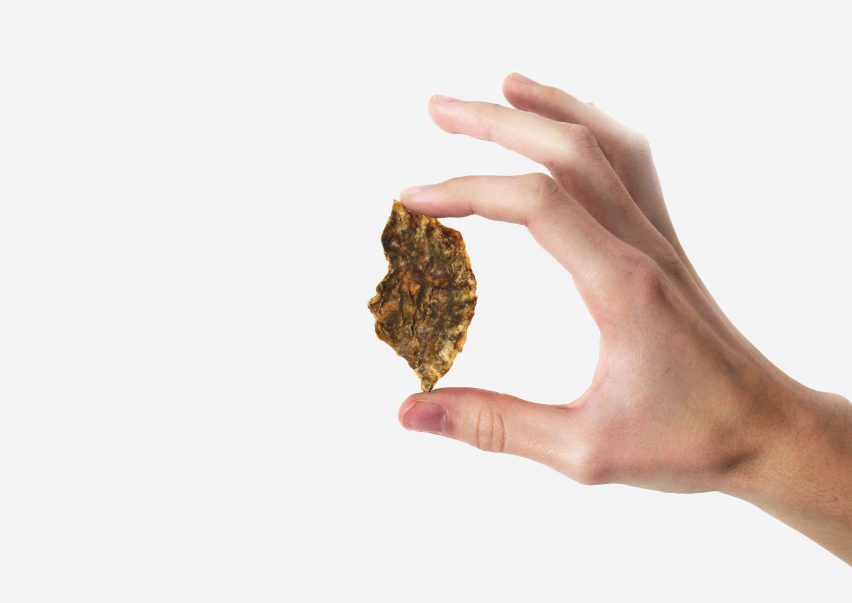 Peel Saver is an ecological packaging for fries made from recycled potato skins