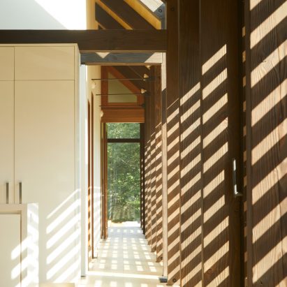 Silvernails house by Amalgam Studio