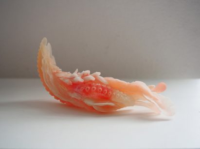Tiger Penis Project by Kuang-Yi Ku