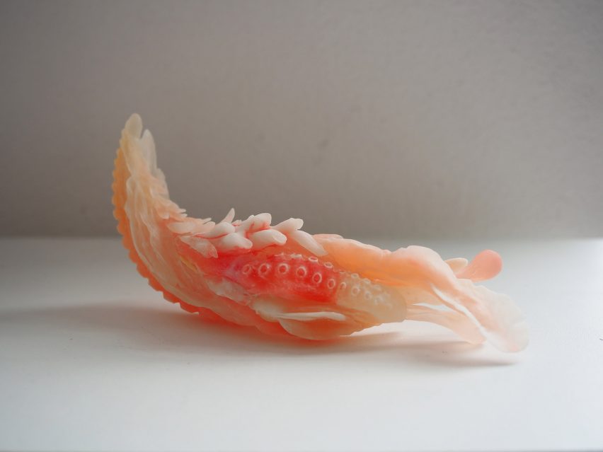 Tiger Penis Project by Kuang-Yi Ku