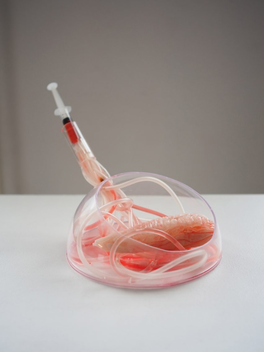 Tiger Penis Project by Kuang-Yi Ku