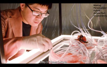 Tiger Penis Project by Kuang-Yi Ku