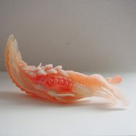 Tiger Penis Project by Kuang-Yi Ku