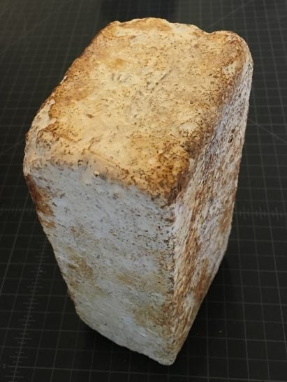 Cleveland firm Redhouse Architecture is planning to recycle derelict homes by combining waste materials from demolitions with mushroom mycelium, creating new building materials.