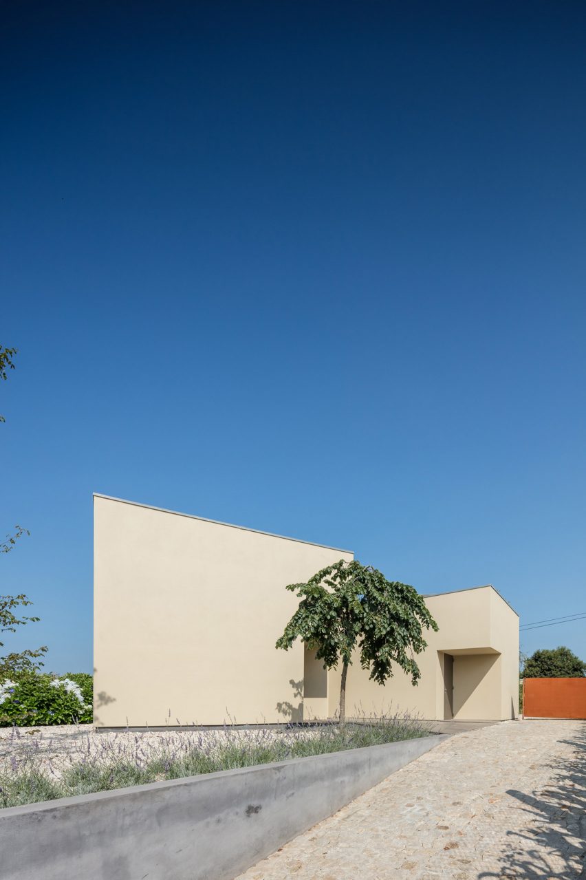Arada Office by Nelson Resende
