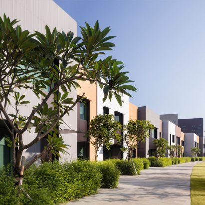 Experienced project architects at Denton Corker Marshall in London and Manchester, UK